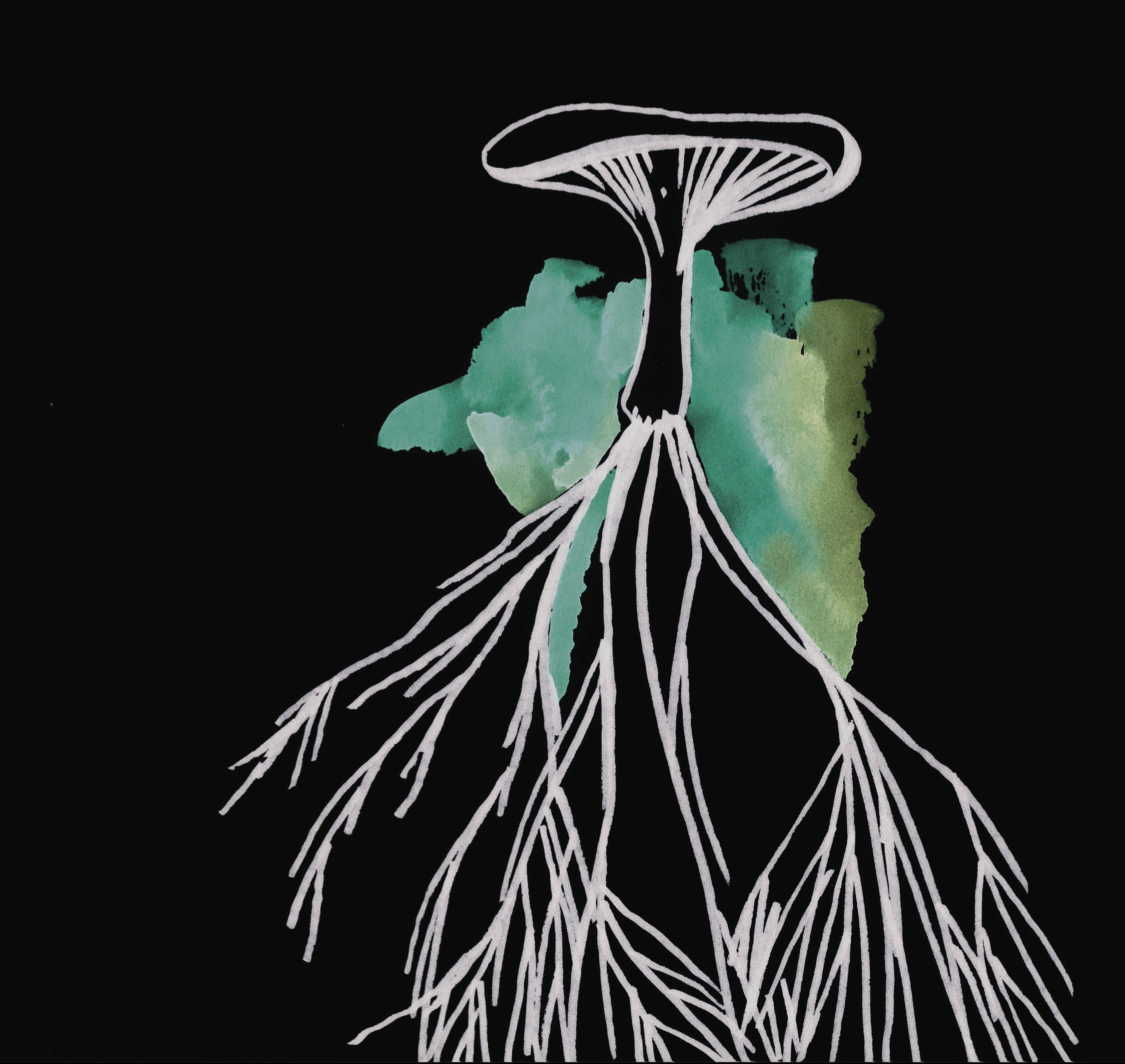 Welcome to Mycelium 2.0