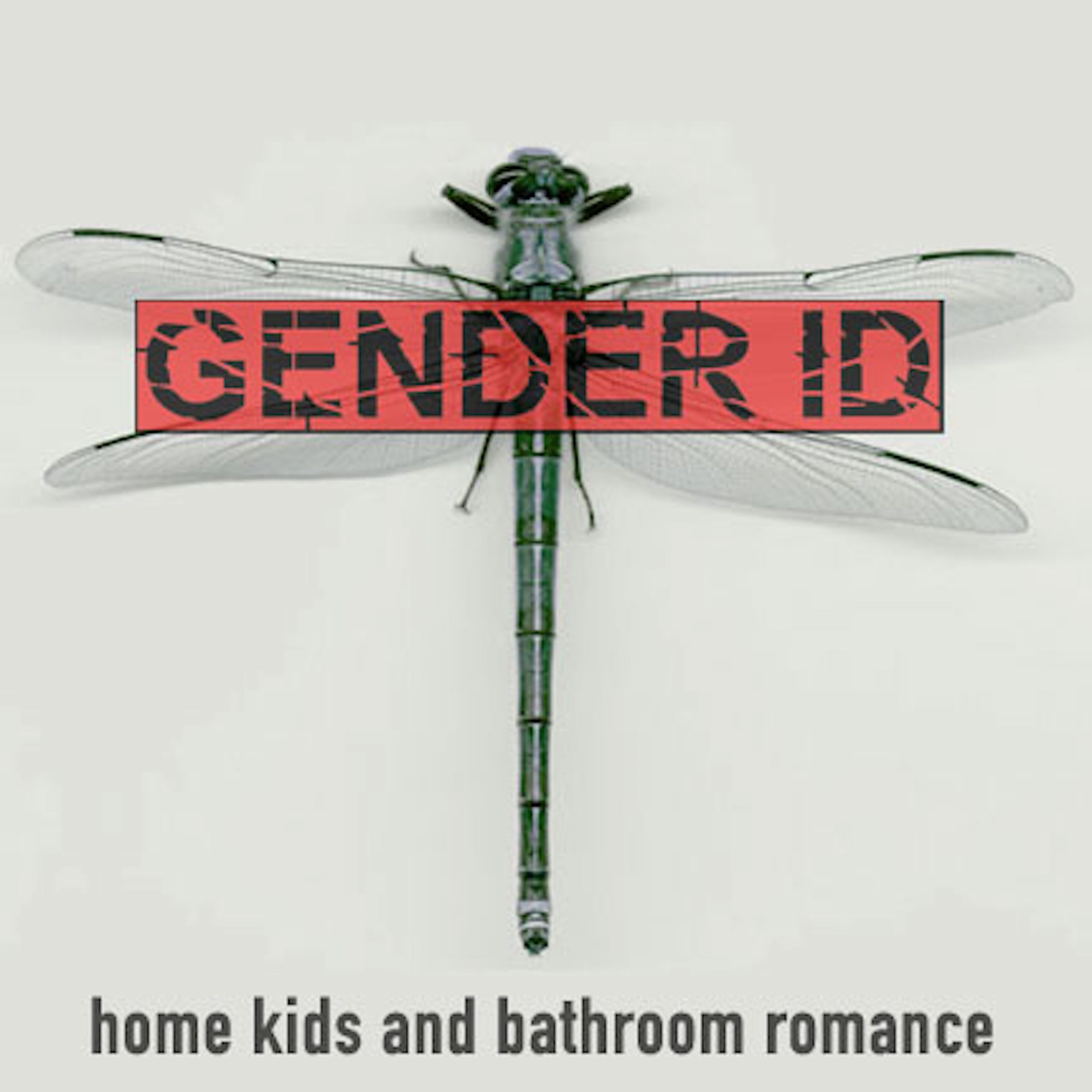 2007 – Home Kids & Bathroom Romance (album) by Gender ID