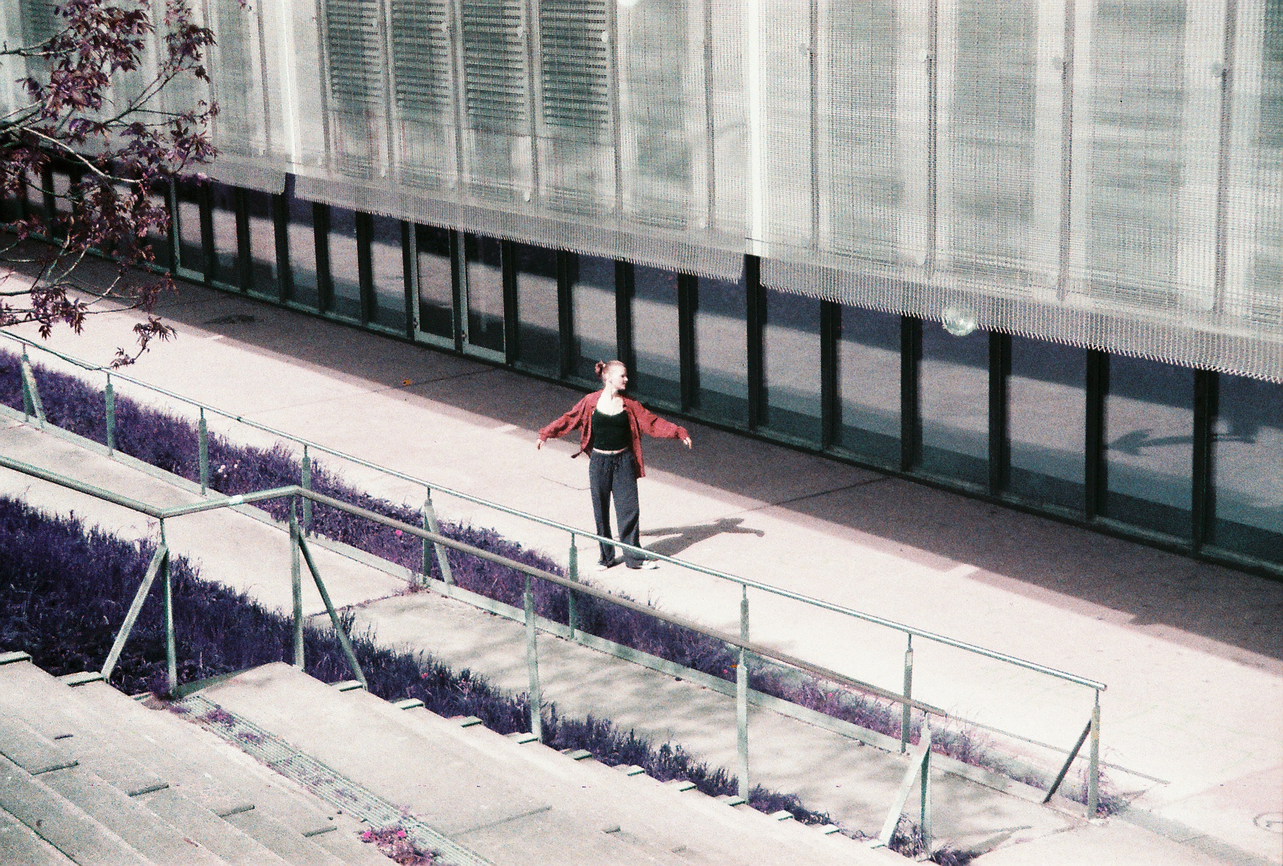 Conversations in Analog #2